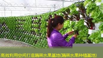 高效利用空间打造蔬菜水果基地(蔬菜水果种植基地)